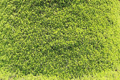 《Furi》公布新DLC“Onnamusha” 5月17日发售