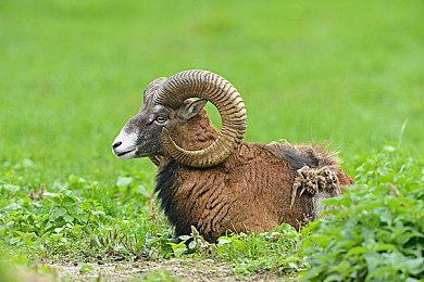 在新地图中弹弹琴！《雾锁王国》第二个重大内容更新“泥沼的旋律”发布